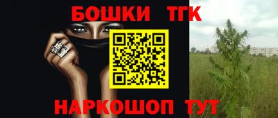 прущие крисы Малгобек