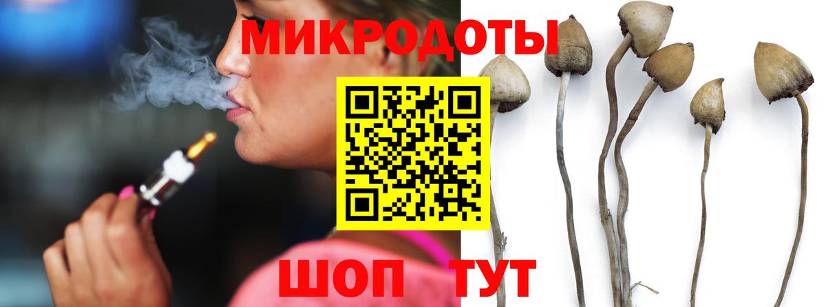 Шадринск  Галлюциногенные грибы мицелий  Вход с VPN  Галлюциногенные грибы GOLDEN TEACHER 